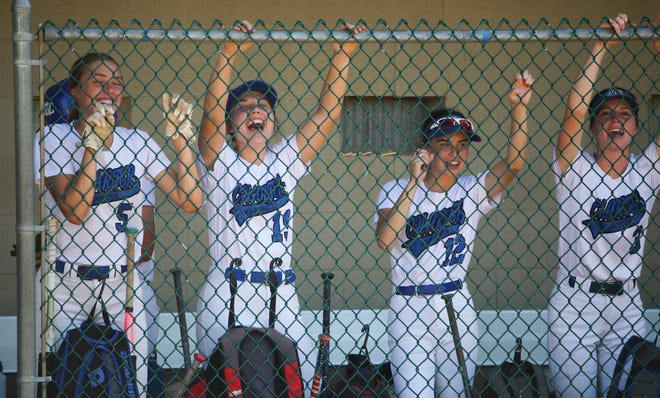 Charter School of Wilmington's (from left) Natalie Fusco, Robyn Bufano, Ella Gandolfo and Elliana Scherer cheer their teammates as the Force threaten in the fourth inning in the Spartans'  4-0 win in the second round of the DIAA state high school tournament Wednesday, May 19, 2021 at St. Mark's High School.