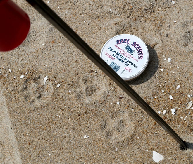 Bait is left on the beach while the fisher gets his pole Friday, July 16, 2021, on Fenwick Island State Park in Fenwick Island, Delaware.